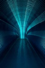 Click To View This Image