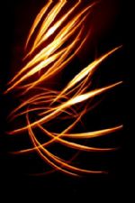 Click To View This Image