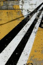 Click To View This Image