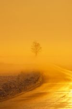 Click To View This Image