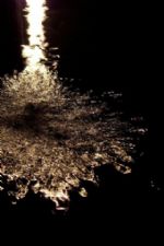 Click To View This Image