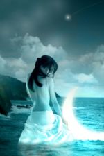 Click To View This Image