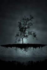 Click To View This Image