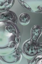 Click To View This Image