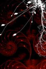 Click To View This Image