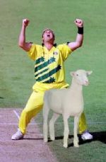 Click To View This Image