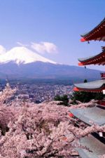 Click To View This Image