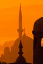 Click To View This Image