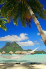 Click To View This Image