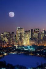 Click To View This Image