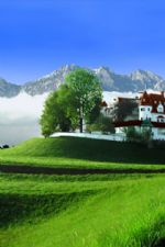 Click To View This Image