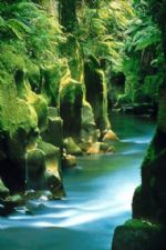 Click To View This Image