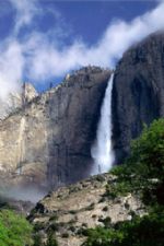 Click To View This Image