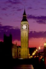 Click To View This Image