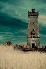 Click To View This Image