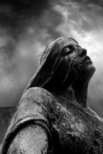 Click To View This Image