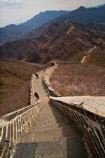 Click To View This Image