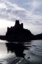 Click To View This Image