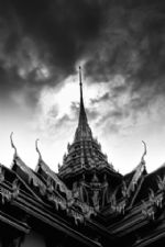 Click To View This Image