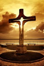 Click To View This Image