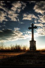 Click To View This Image