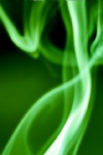 Click To View This Image