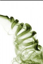 Click To View This Image