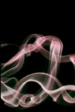 Click To View This Image