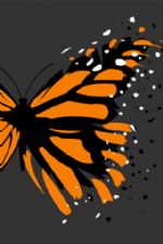 Click To View This Image