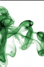 Click To View This Image