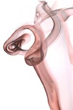 Click To View This Image