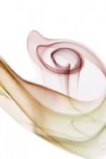 Click To View This Image