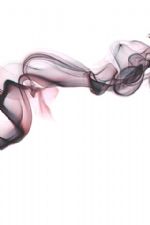 Click To View This Image