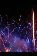 Click To View This Image