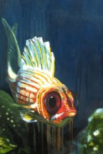 Click To View This Image