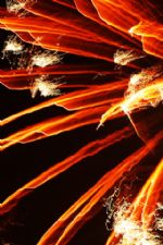 Click To View This Image