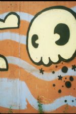 Click To View This Image