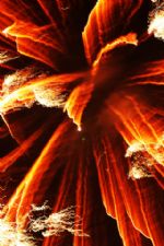 Click To View This Image