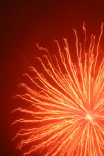 Click To View This Image