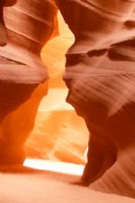 Click To View This Image