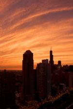 Click To View This Image