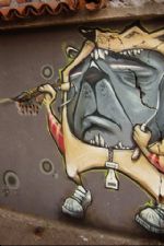 Click To View This Image