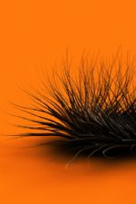 Click To View This Image