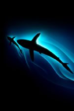 Click To View This Image