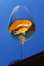 Click To View This Image