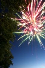 Click To View This Image