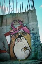 Click To View This Image