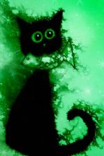 Click To View This Image