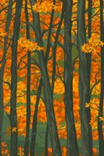 Click To View This Image