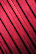 Click To View This Image